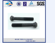 SS201 SS303 Stainless Steel Double Thread Bolt And Nut For Railway