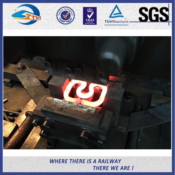 SKL 12 ραγών συγκεκριμένοι συνδετήρες ραγών κοιμώμεών ελαστικοί με τη ζωγραφική χρώματος